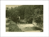 Scierie sur le Ventron en 1936